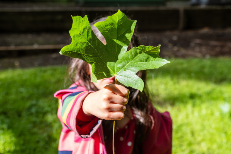 5 tipp, hogyan nevelj környezettudatos gyereket
