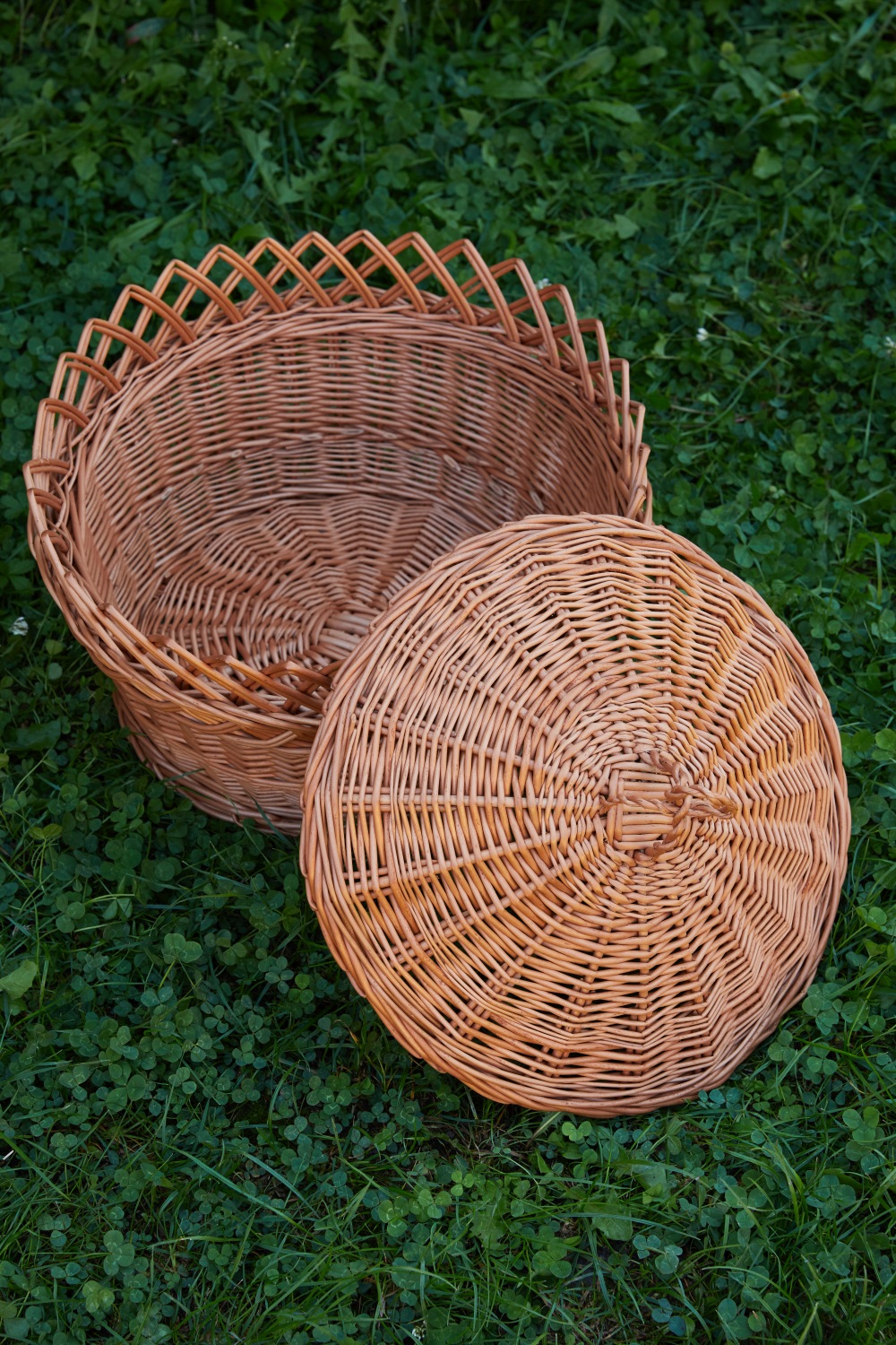 legeza-marta-munkai<br>