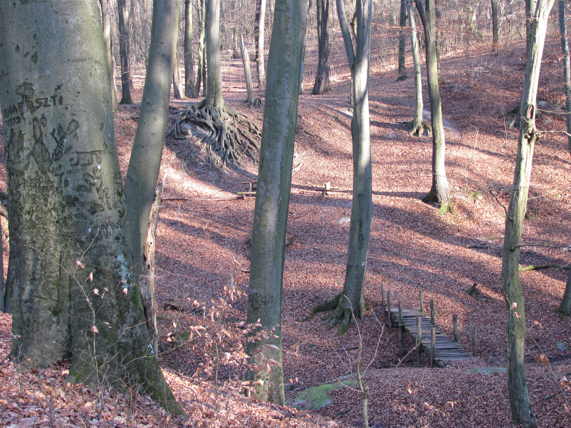 kirandulas-telen-borzsonyben-teli-turak-a-borzsonyben<br>