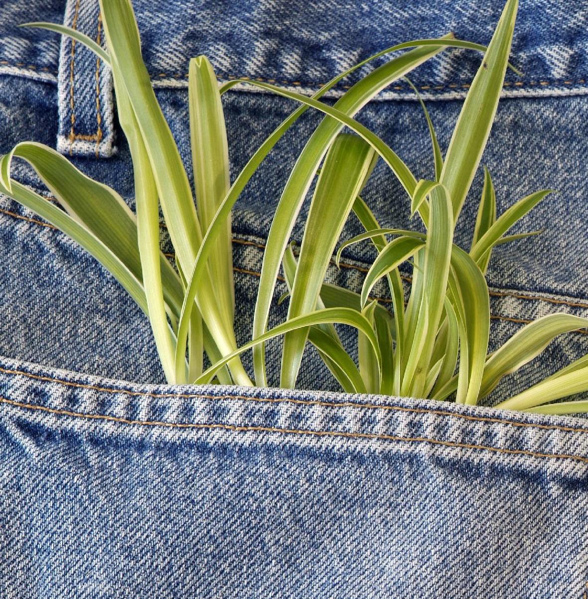 Az olajipar után a divatipar a legszennyezőbb a világon