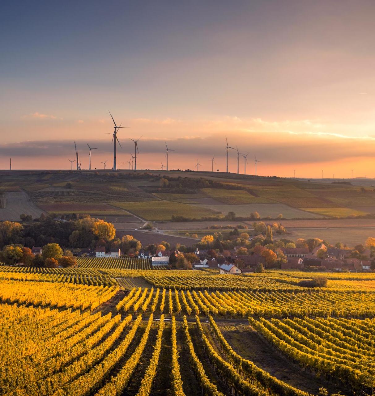 Le falura, fel városba