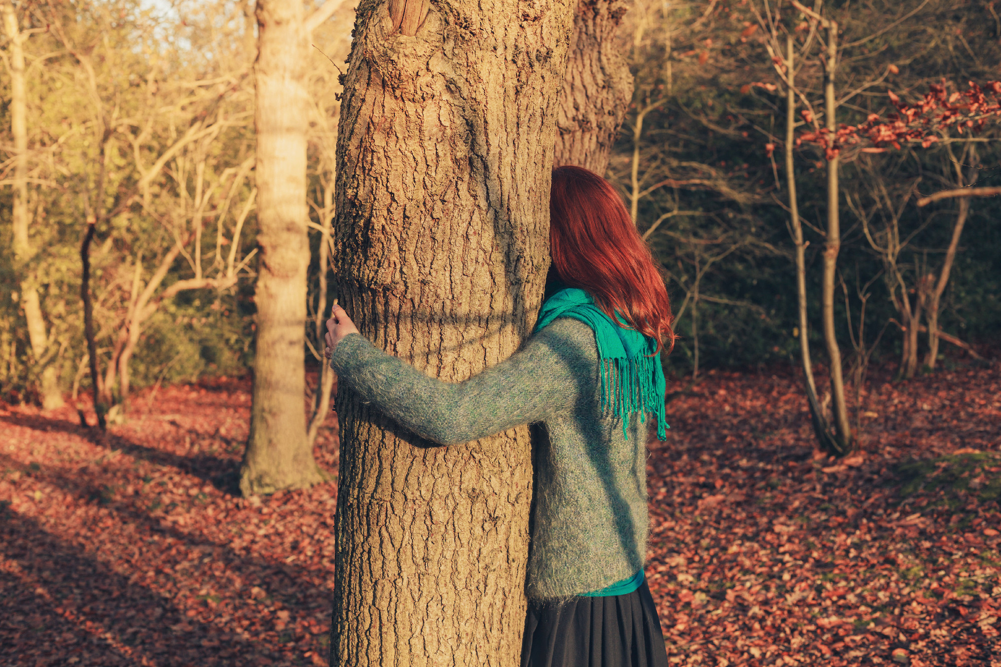 Woman hugging tree at sunset