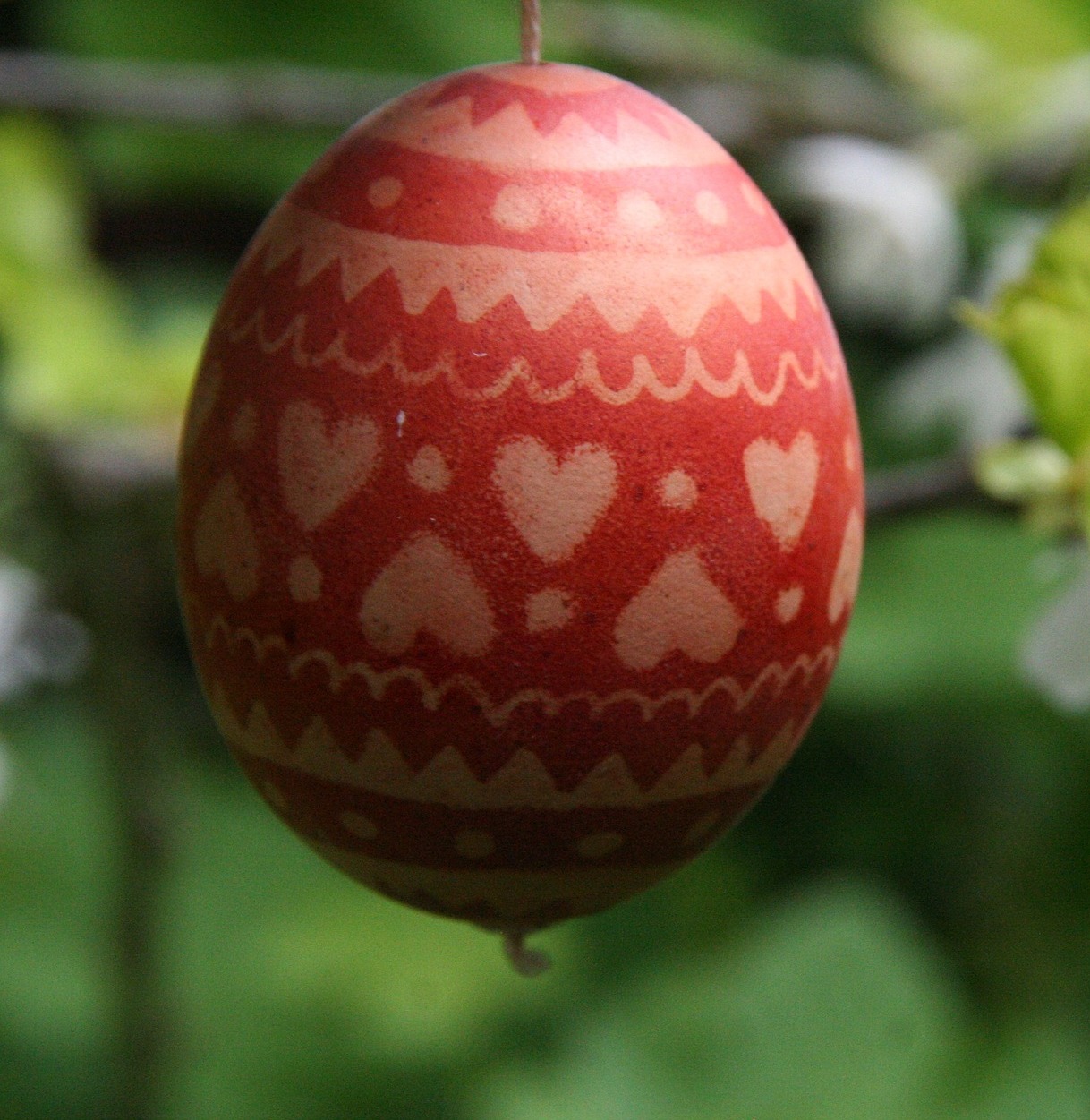 A hagymahéjtól a kurkumáig: növények vibráló színei a húsvéti tojásokon