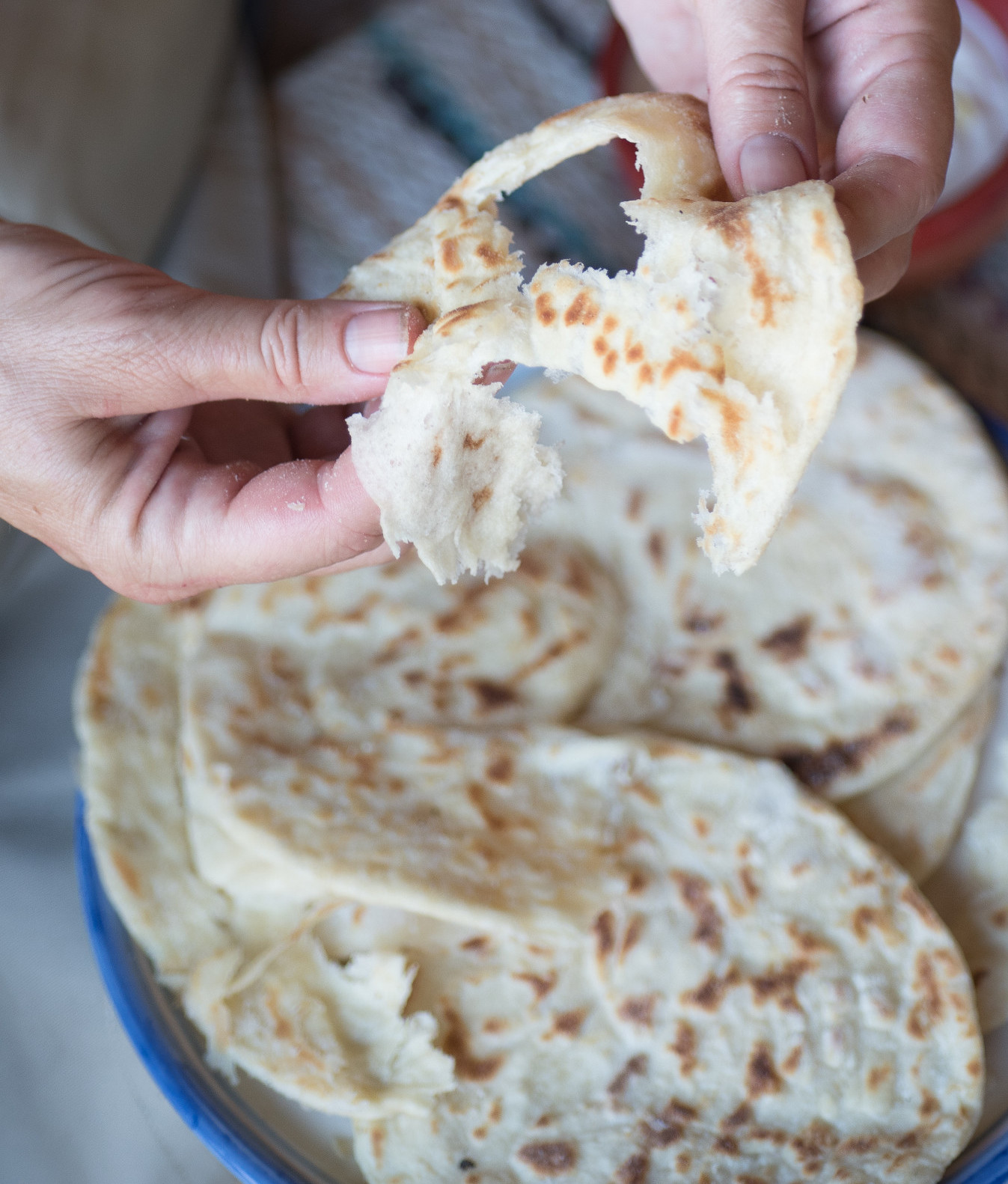 Rongyos lapóka: pizzarendelés helyett