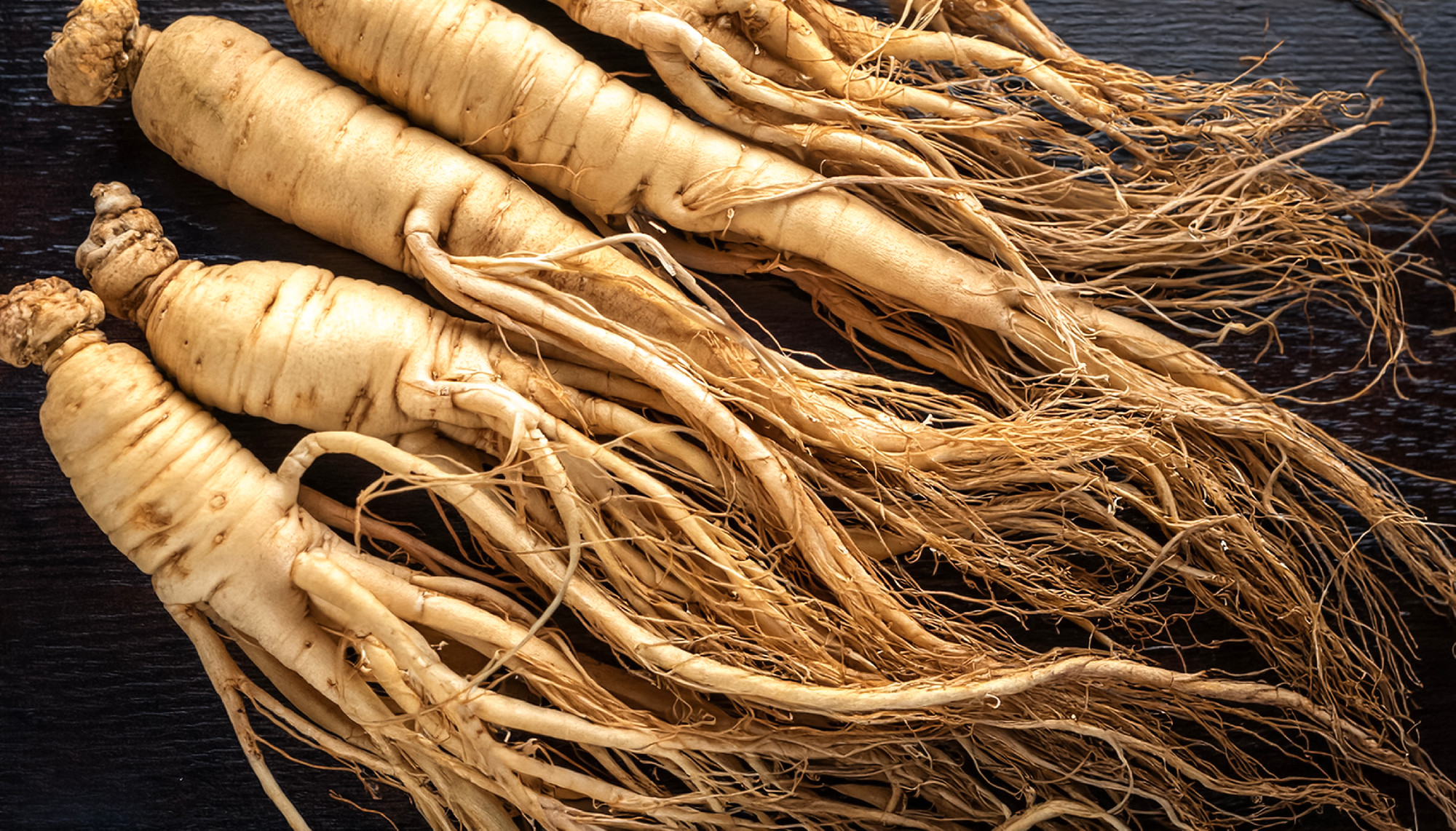 Lots of ginseng. ginseng Background Concept