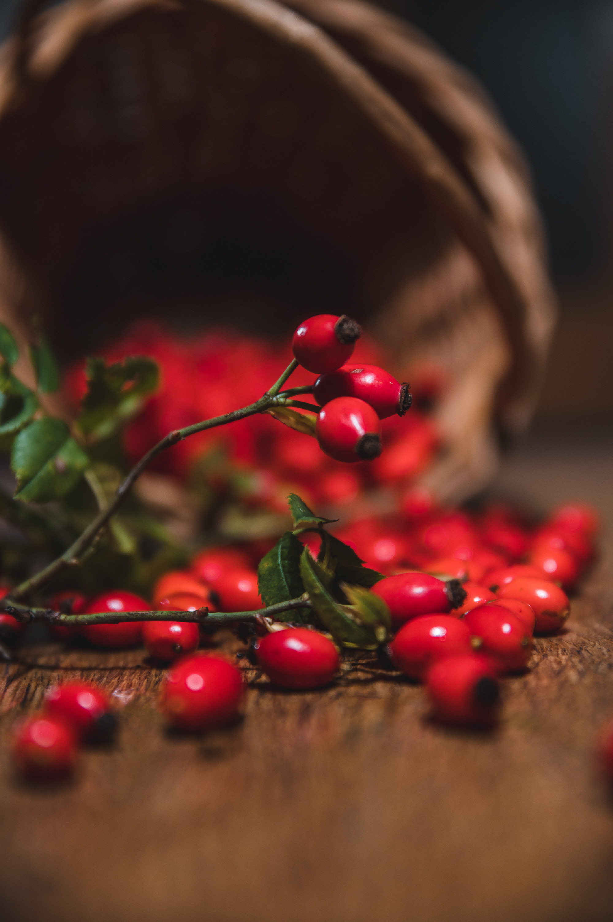 Dark red rose hip on basket