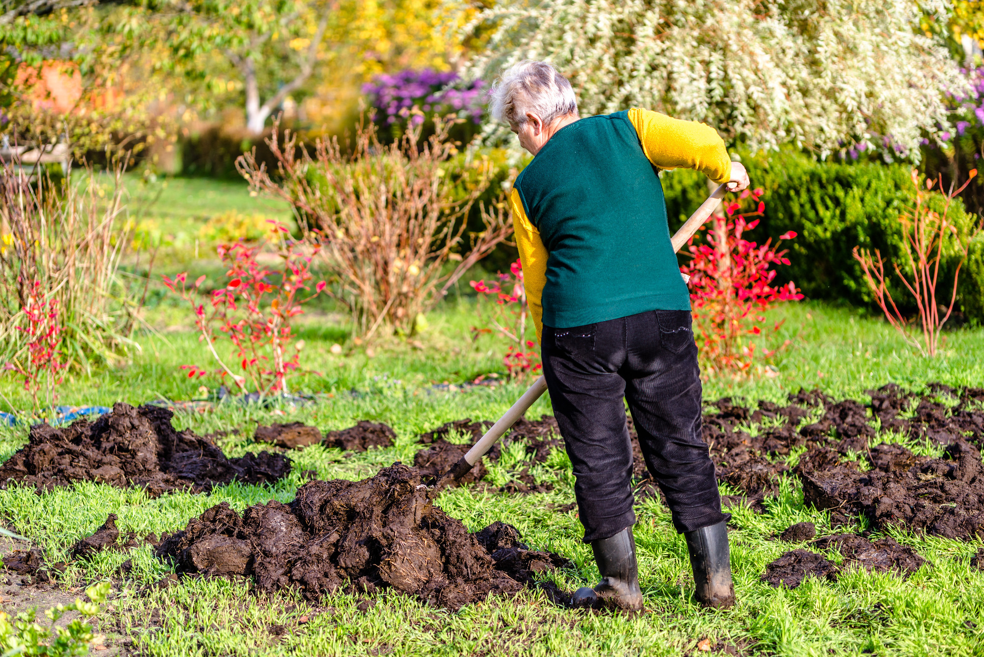 Person in the garden, worker of farm fertilizing the soil with a natural fertilizer, organic farming concept
