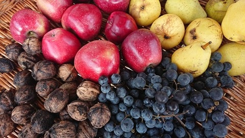 Nehéz helyzetek kemény embereket szülnek: a betyáros Sokoró kezdeményezése