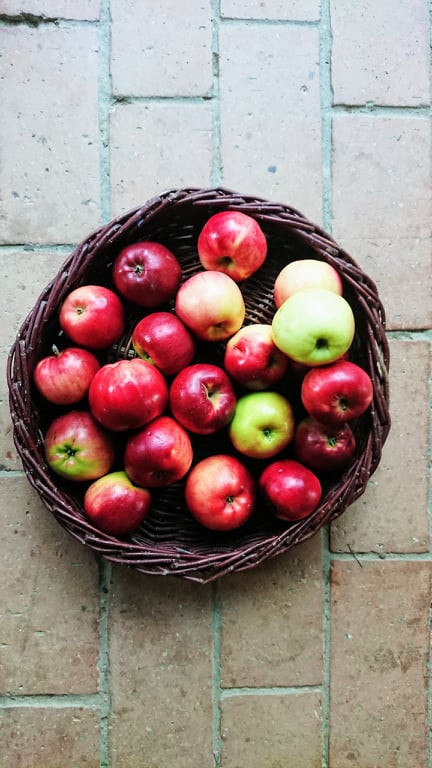 Vitamindús őszi kincs: az alma java (édesen és sósan)