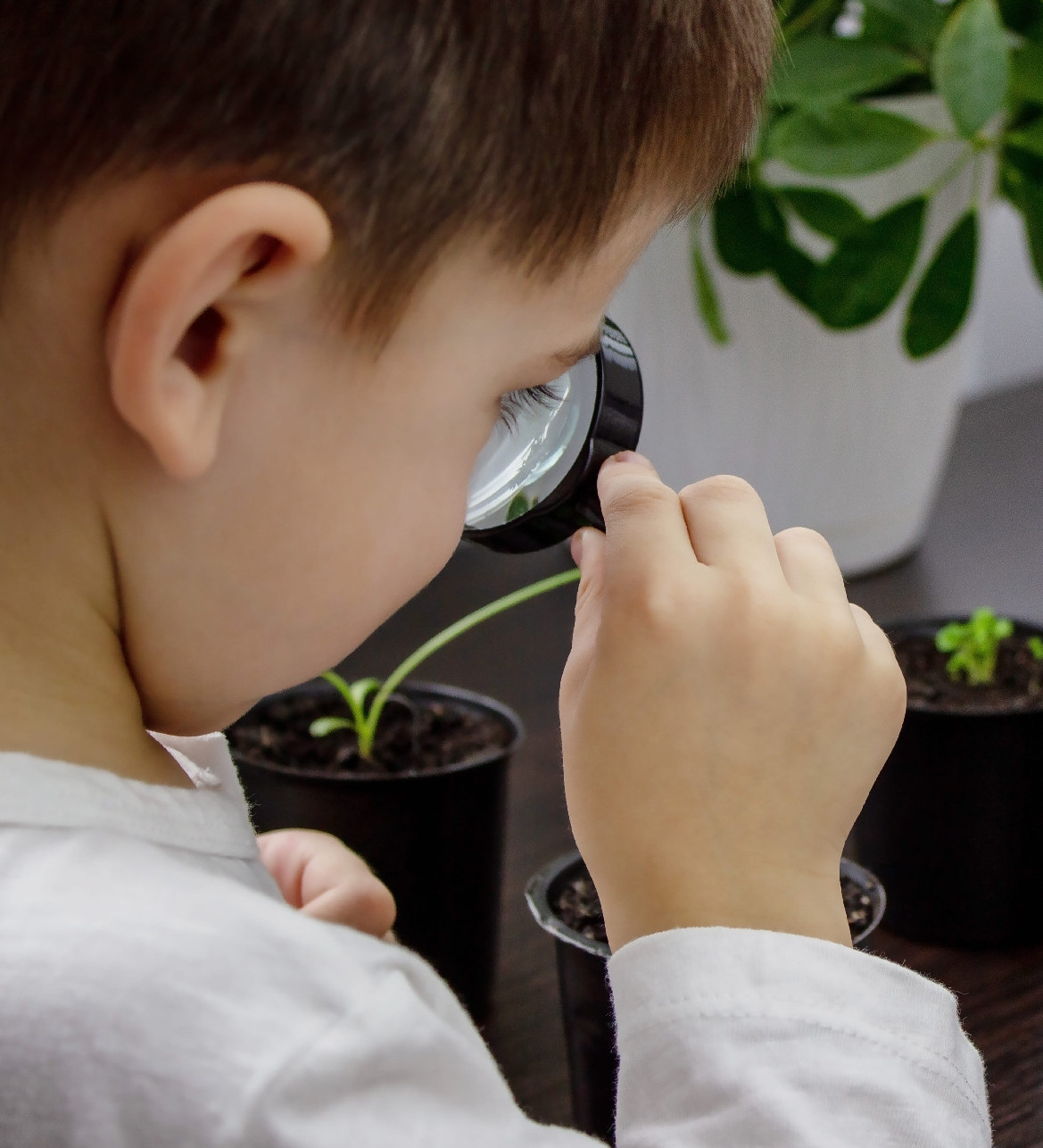 Lehet, hogy te is növényvakságban szenvedsz?