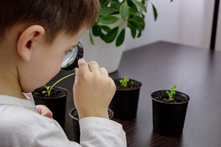 Lehet, hogy te is növényvakságban szenvedsz?