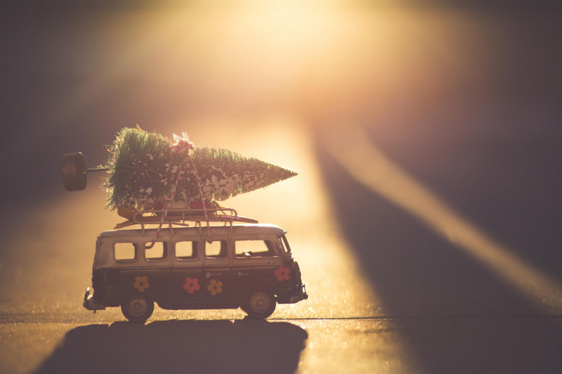 Egy fontért karácsonyfa, avagy a magyar lány feltalálja magát, ha nem tud hazautazni karácsonyra
