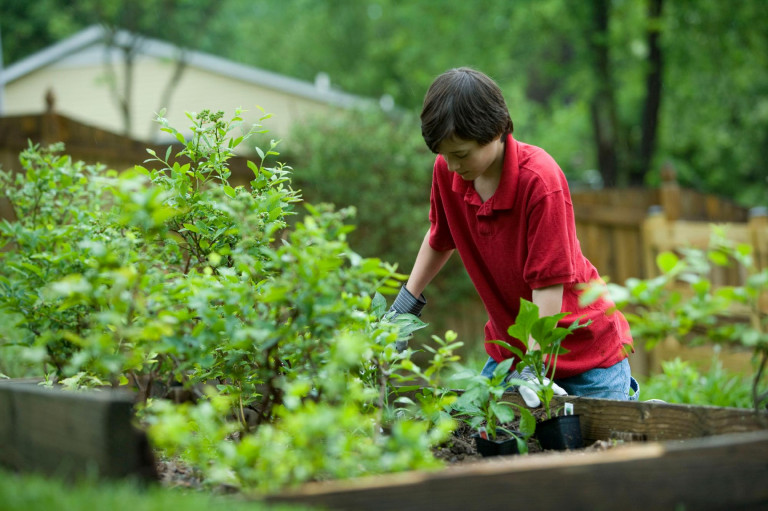 Végezzen csak kétkezi munkát a kisiskolás! – Életre nevelünk, ha kertet nevelünk