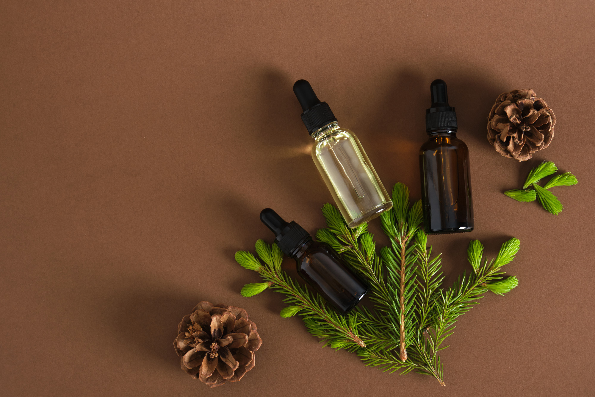 glass dropper bottle with cosmetic serum or oil and sprig of spr