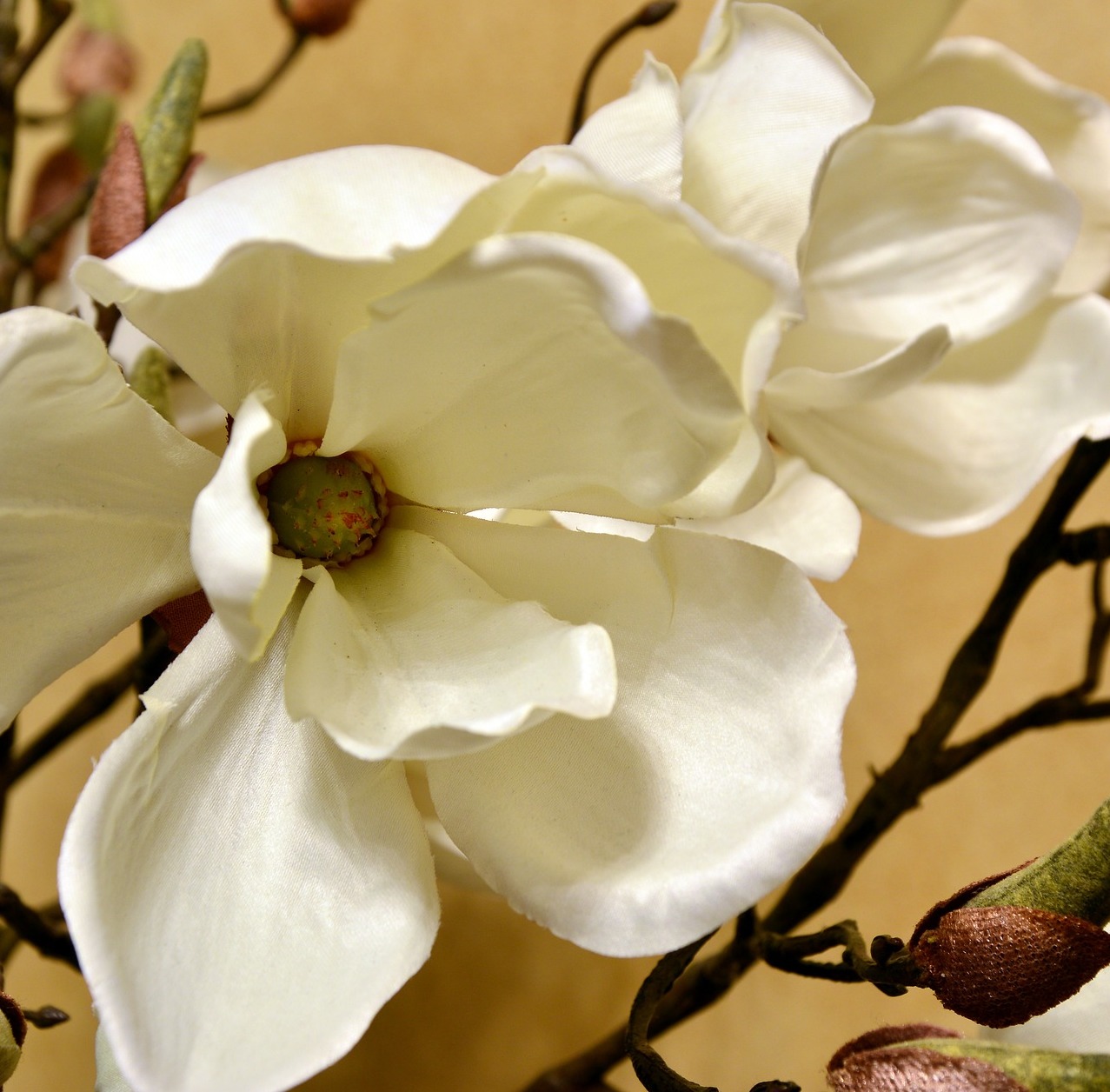 Azt hiszed neked szól, ám valójában ezért illatosak a virágok