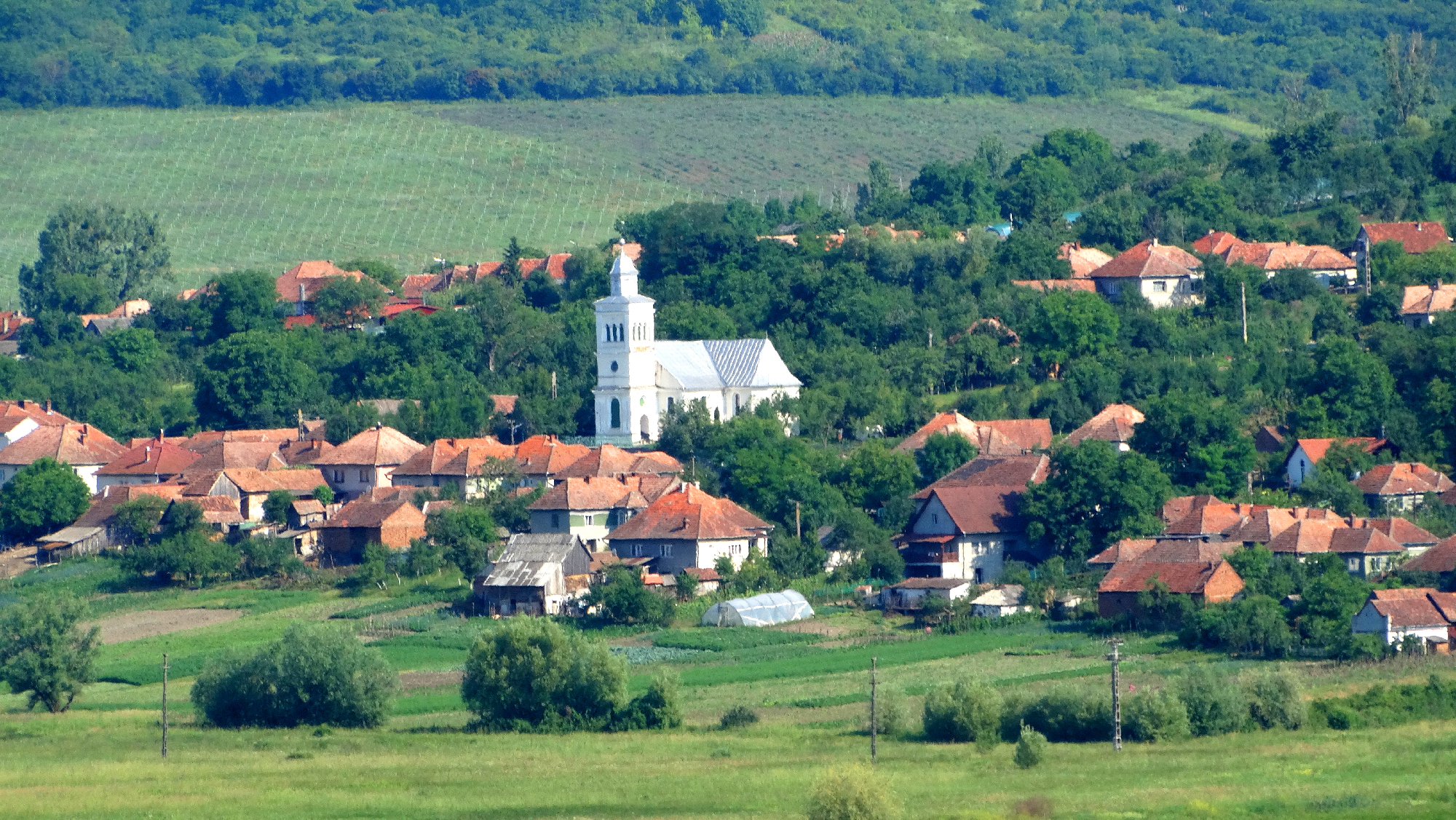 Azt kaptam útravalónak, amiből a legkevesebb van a világon, avagy az erdélyi hamuban sült pogácsa ereje
