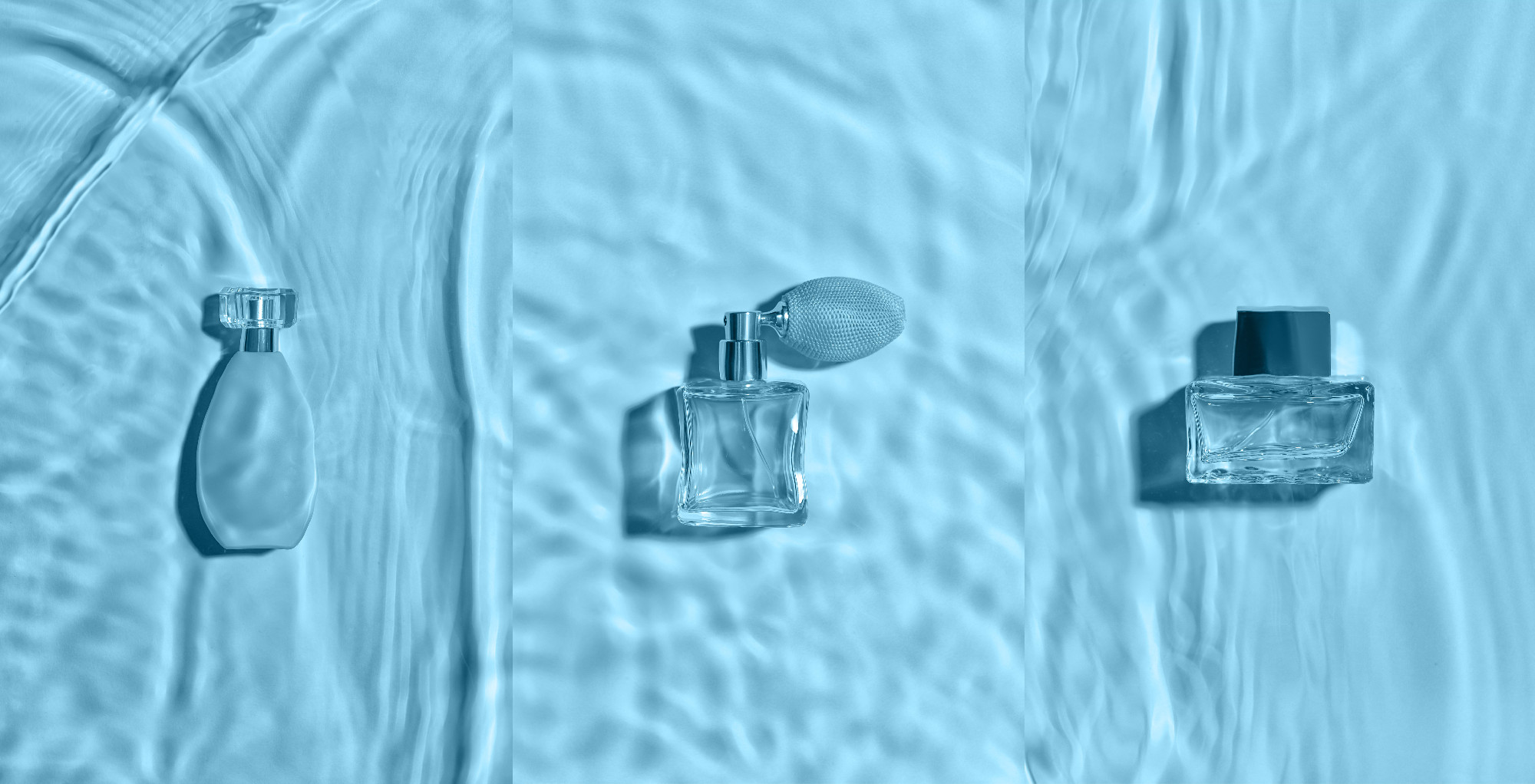 Different bottles of perfume in water on color background�