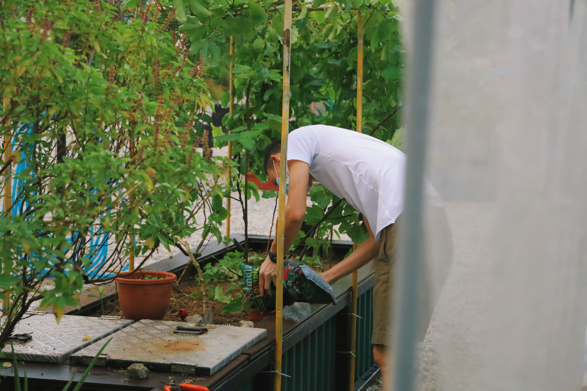 Helyben helyit – megérkezett Európába az Urban Farming