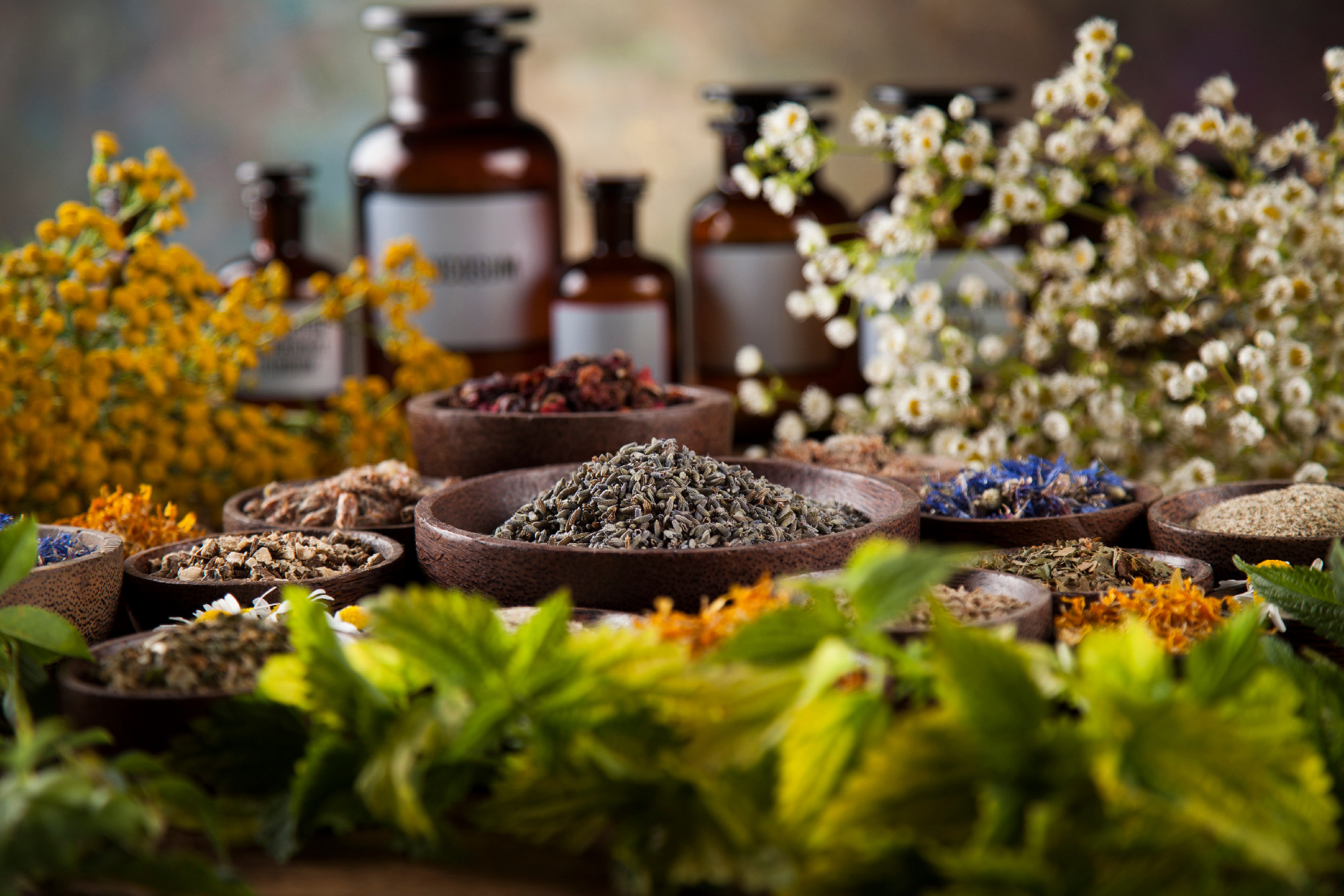 Herbal medicine on wooden desk background