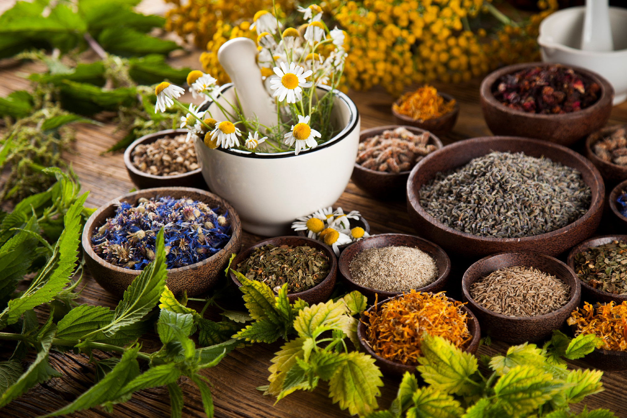 Alternative medicine, dried herbs and mortar on wooden desk back