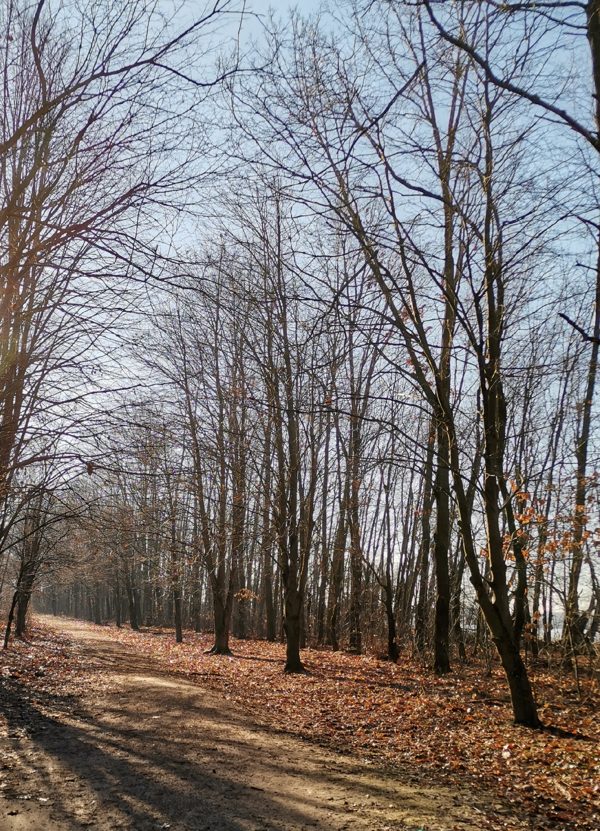 Matula bácsi, Tutajos, Bütyök és a Kis-Balaton