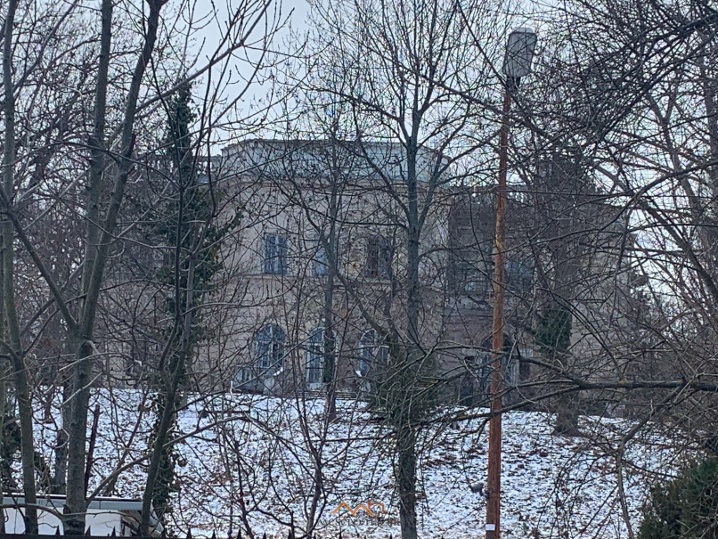 Villából kórház, kórházból romhalmaz – A csodálatos Frivaldszky-Mauthner-Pálffy-villa története