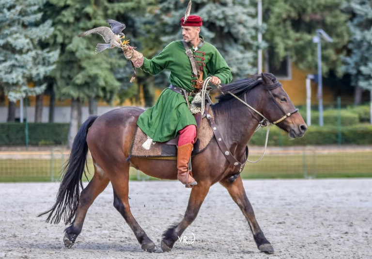 „A bicikliző papagáj és a valódi hagyományőrzés közt kifeszített drótkötélen egyensúlyozunk” – Interjú Krekács Zoltán lovas solymásszal