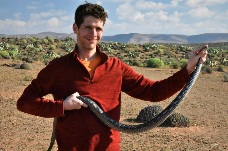 Kígyók, békák, pókok, de főképp viperák: a „nemszeretem” állatokat lehetetlen nem szeretni – Interjú Mizsei Edvárd biológussal