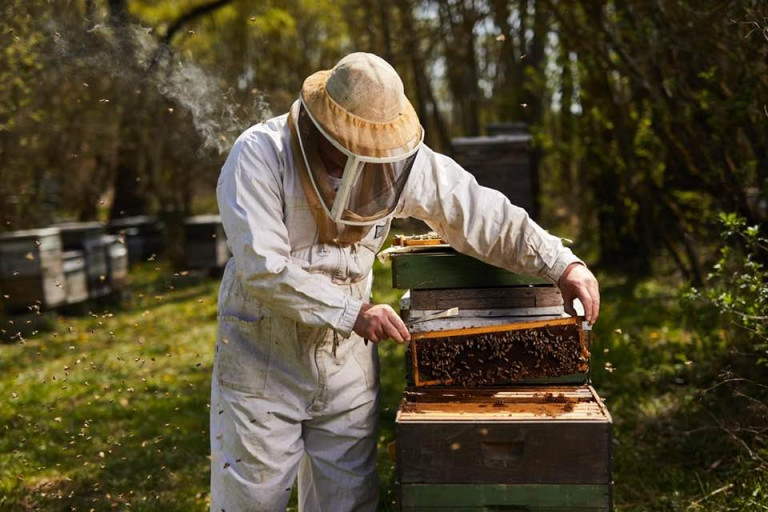 „A kipusztulás lassabban közeledik, mert a legtöbb méhész szenvedélyből dolgozik” –  interjú Kutasi Tamással