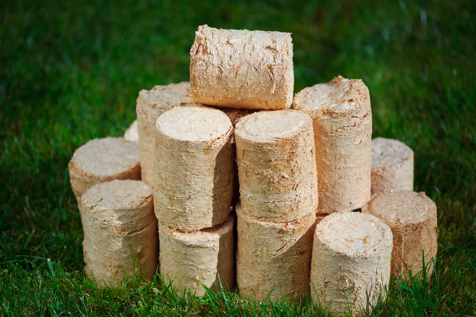 wooden pellets on green grass background