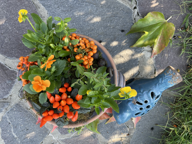 Itt az őszi balkon- és kertdíszítés ideje: virágos dekorok, amiben még sokáig gyönyörködhetsz