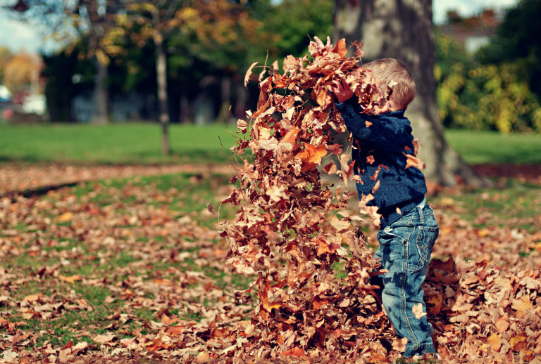 Őszi játéktippek – légy kreatív a gyerekkel! (És hat ötlet, hogy ez könnyedén sikerüljön)