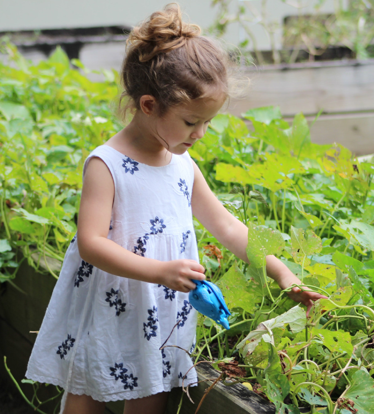 Tovább akarsz élni?
