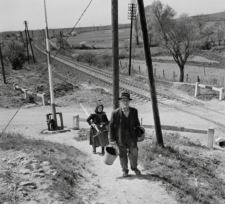 Nevelőapám szerszámoskamrájában az élet rendje uralkodott