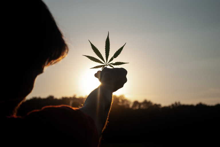 Mi legyen veled, fű? – Demetrovics Zsolttal beszélgettünk a kannabisz világnapja kapcsán