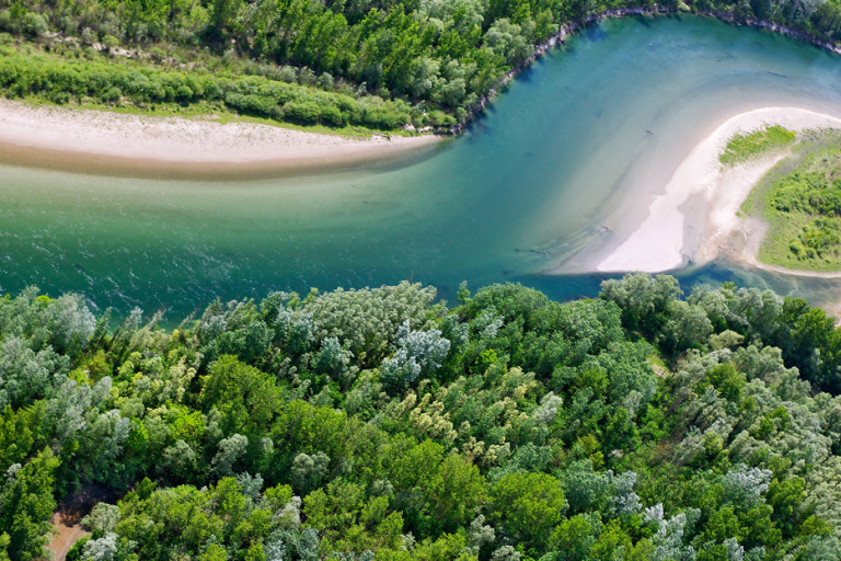 Európa Amazonasa Magyarországon is felkereshető: ilyen a Mura-Dráva-Duna dzsungele