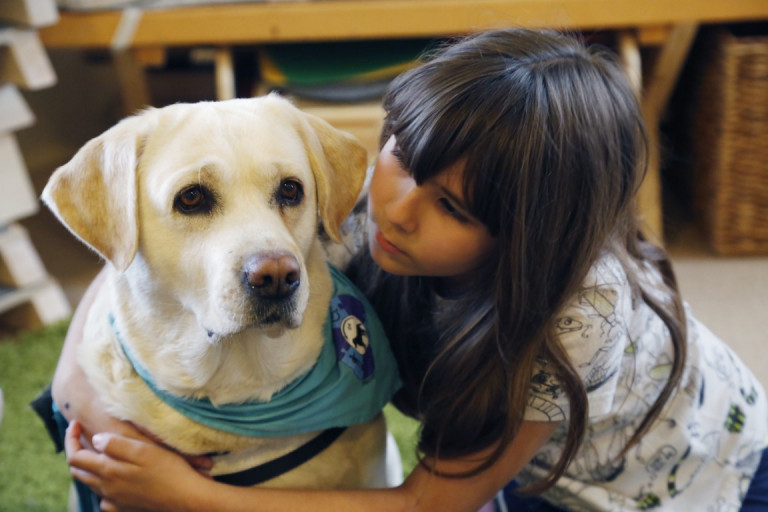 „A kutya híd ember és ember között” – az állatasszisztált terápia gyerekek ezreinek segít
