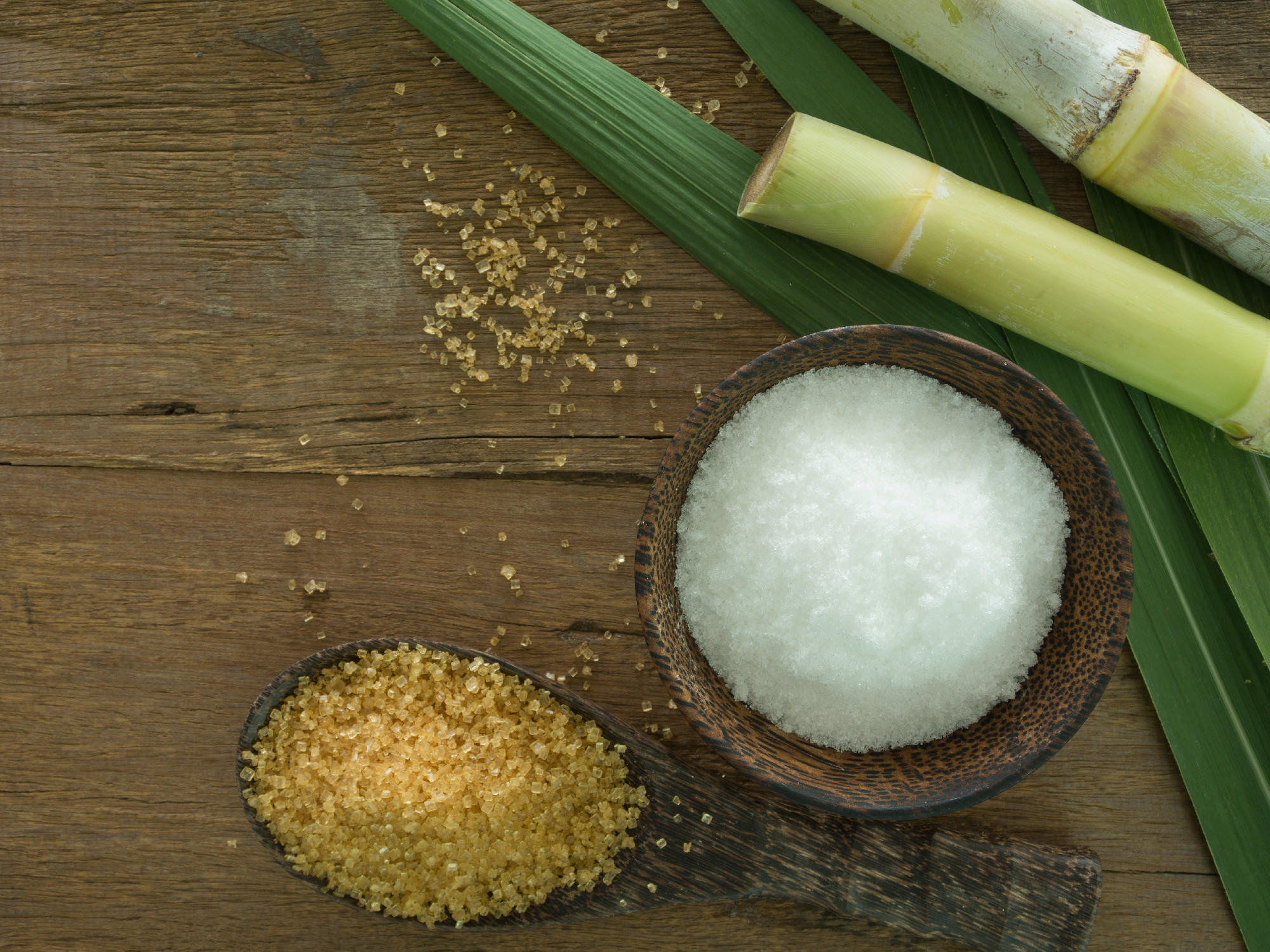 sugarcane