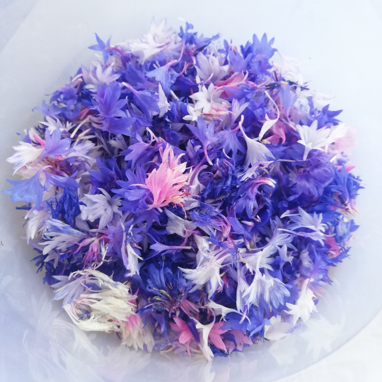 A búzavirág színei káprázatosak! Kivételesen nem a konyhában, hanem a fürdőben lesz hasznunkra: bőrradír készül belőle