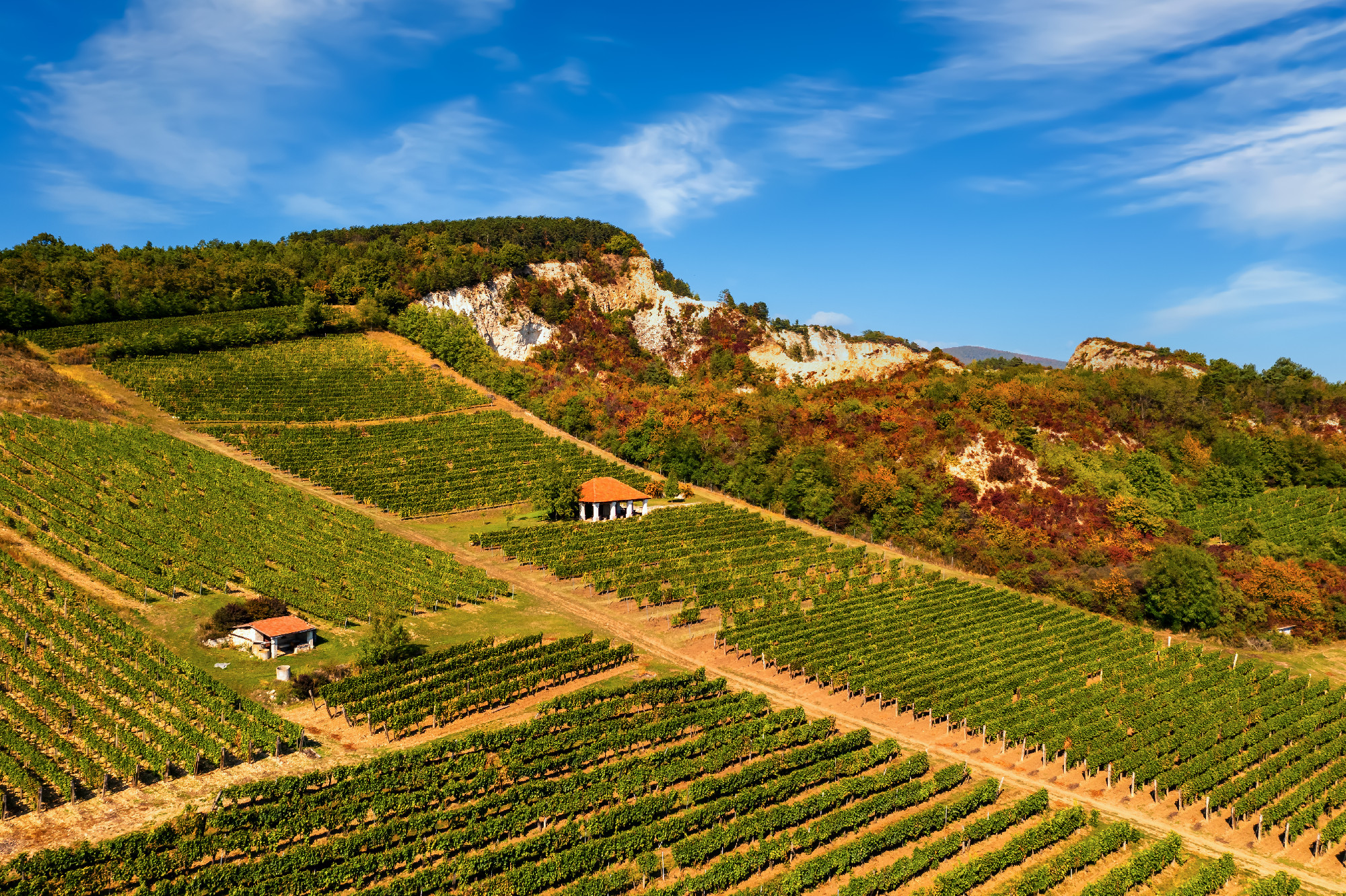 Barangolások Nyíregyházáról