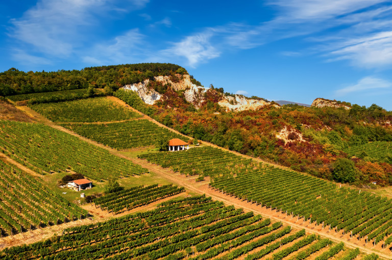Barangolások Nyíregyházáról