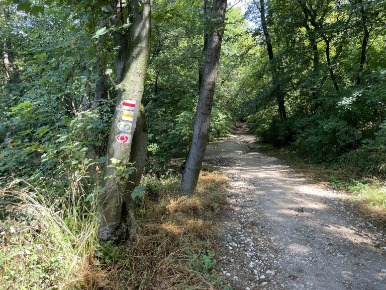 Szépjuhászné téged is vár egy túrára: segítünk eldönteni, melyik úton indulj!