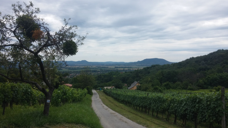 Újdonság helyett a jó öreg Balaton – ezért jó gyerekekkel ismerős helyen nyaralni