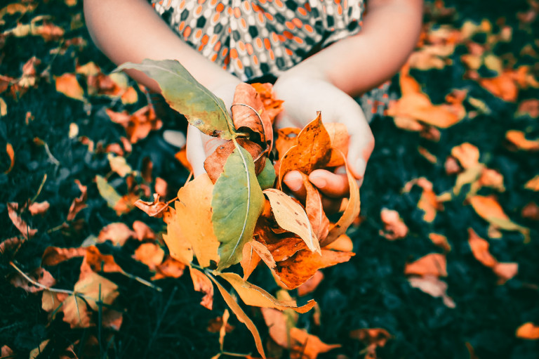 Idén ősszel légy lusta kertész! – nem is gondolnád, mennyi jót teszel vele
