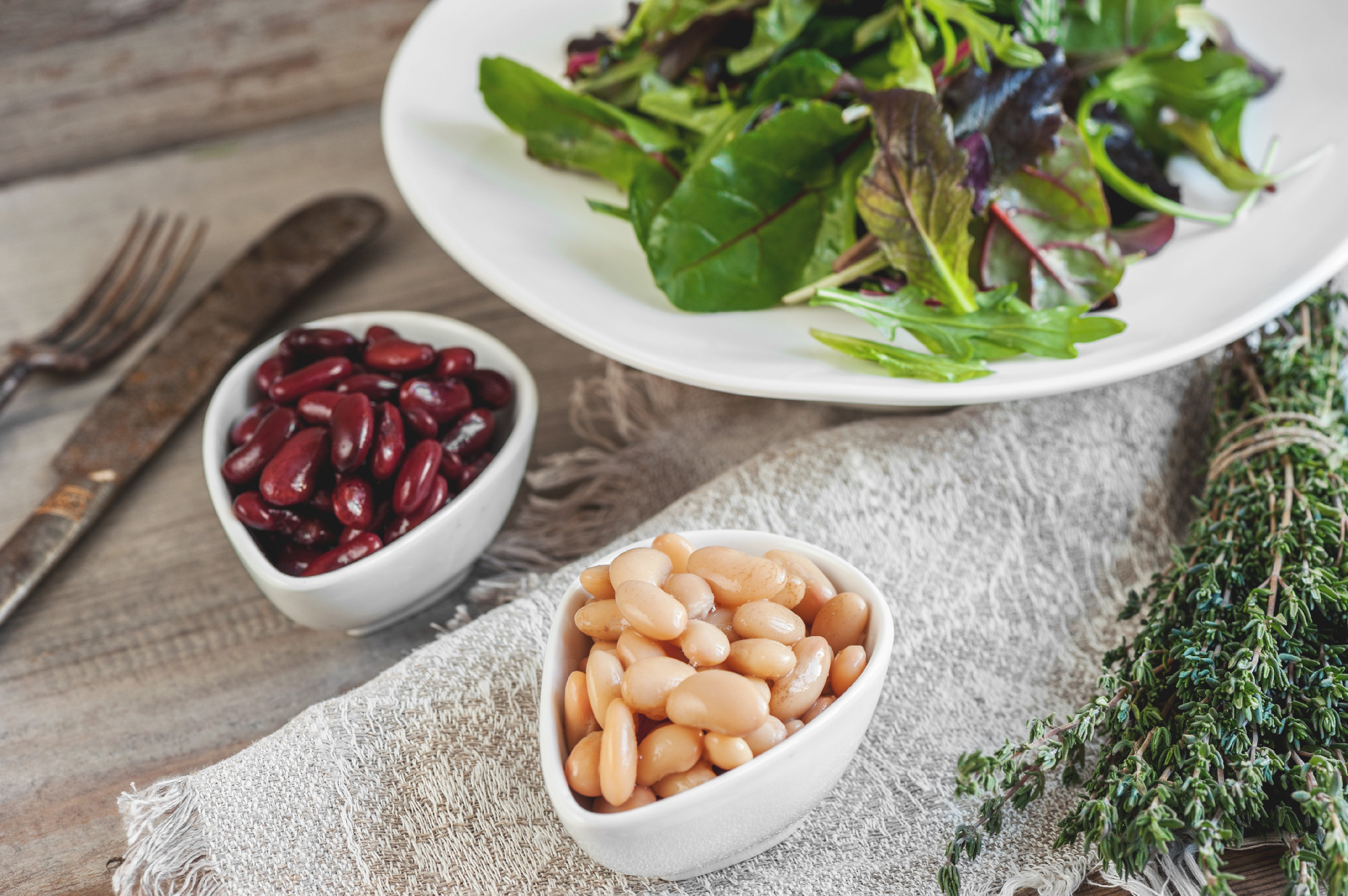 Beans are white and red with large black olives in white small cups with green leaves of arugula and Lollo Ross prepared for salad with thyme. Prevention of excess weight.