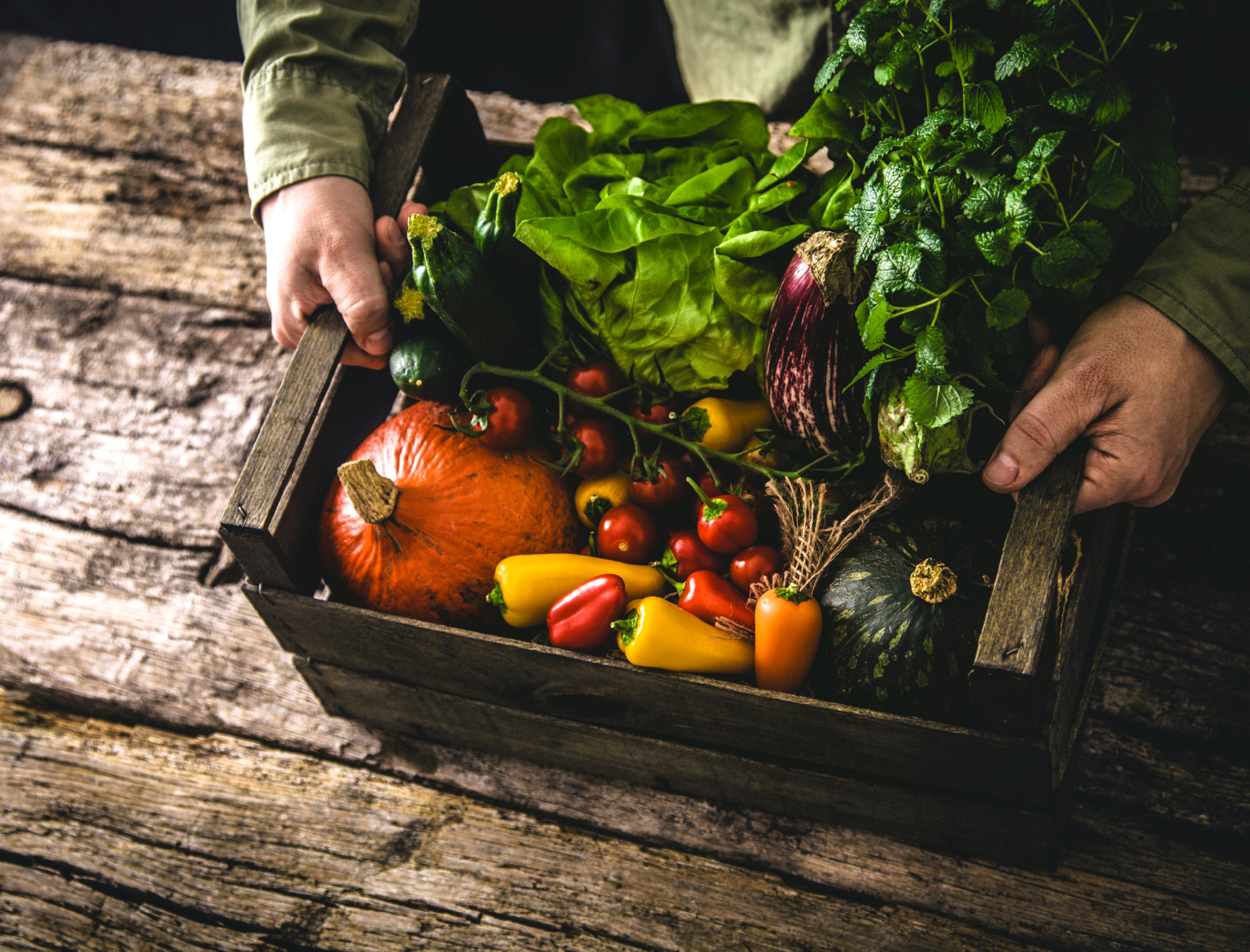 Organic vegetables on wood