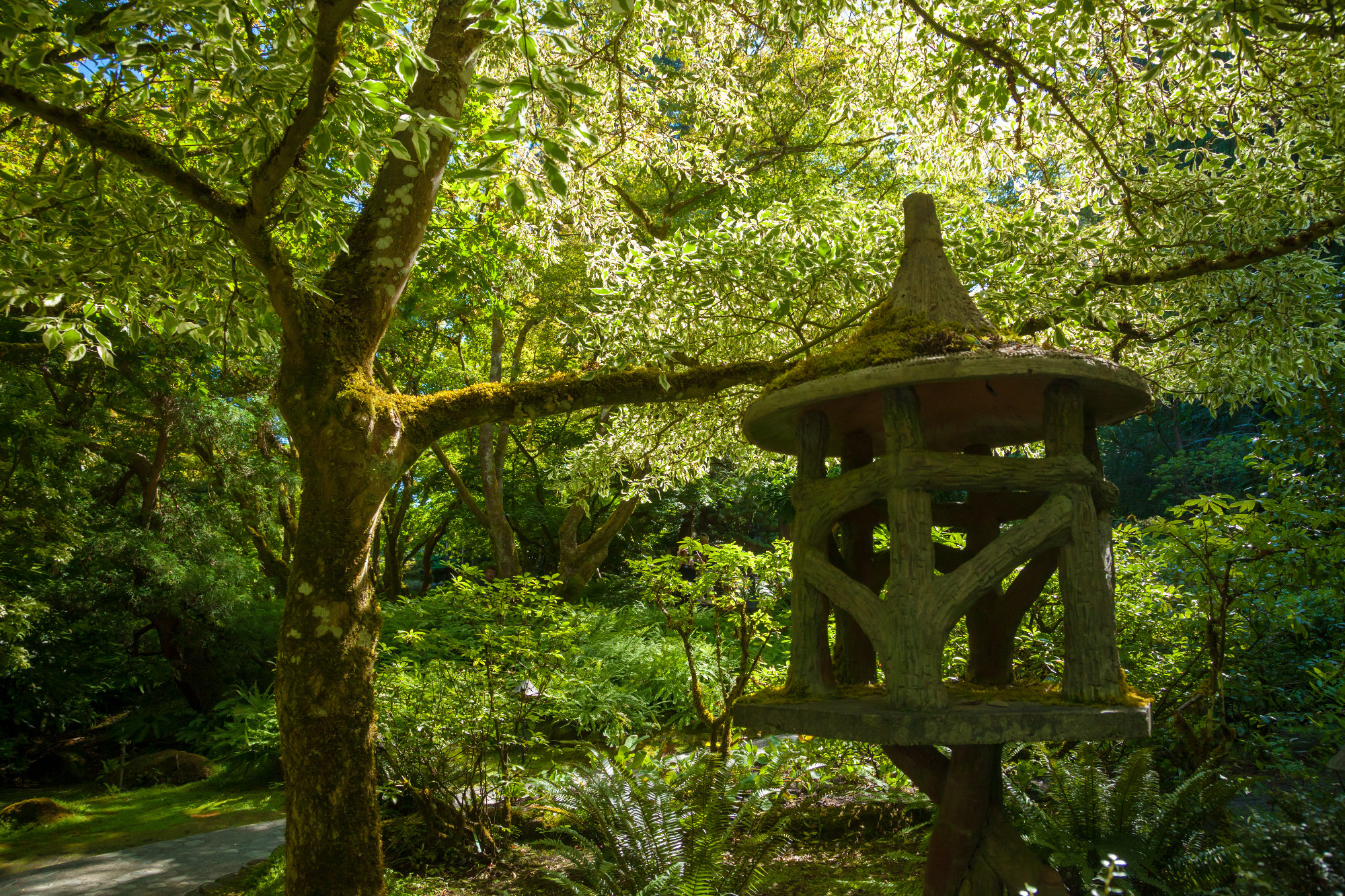 A Japanese lantern in a beautiful garden