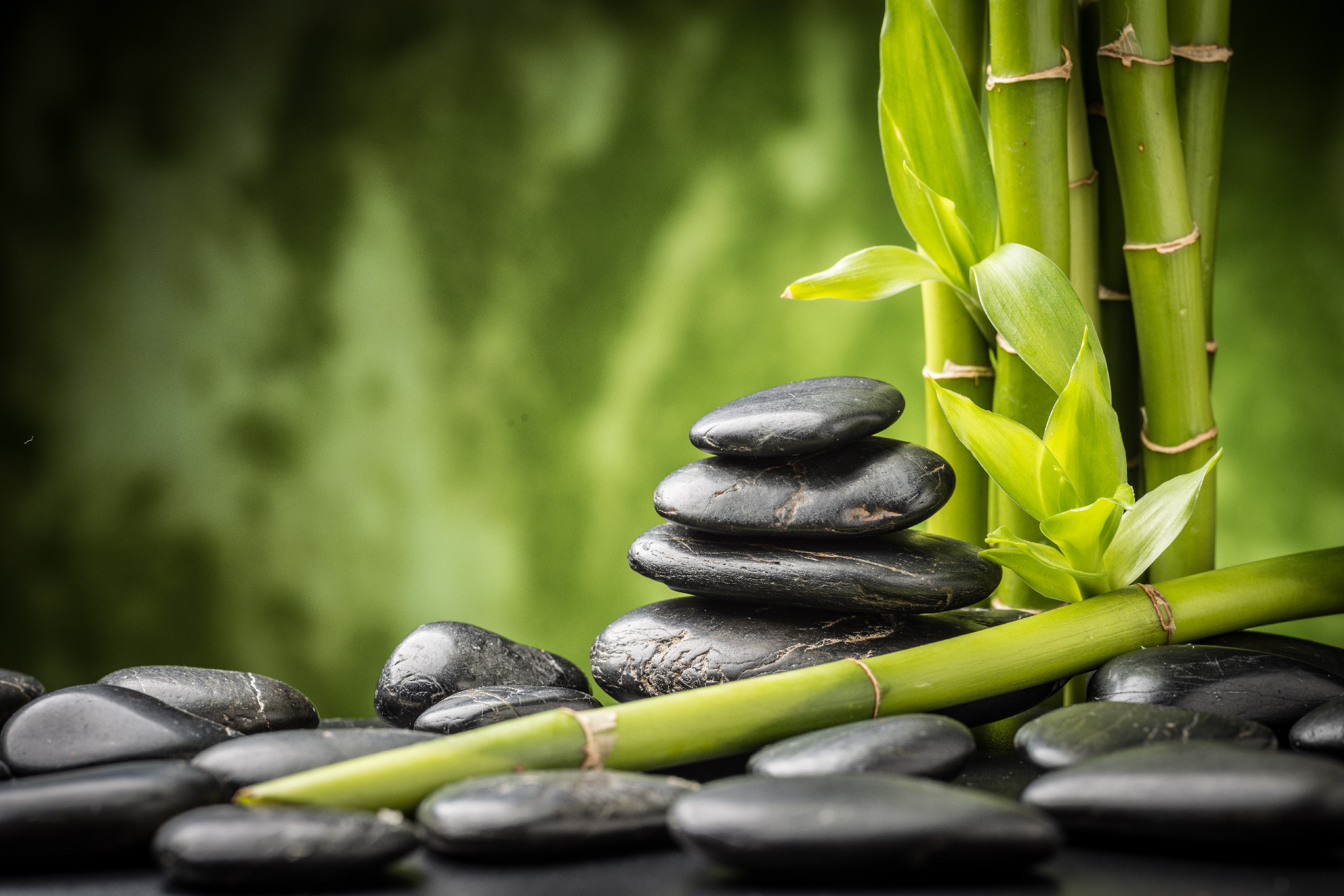 zen stones