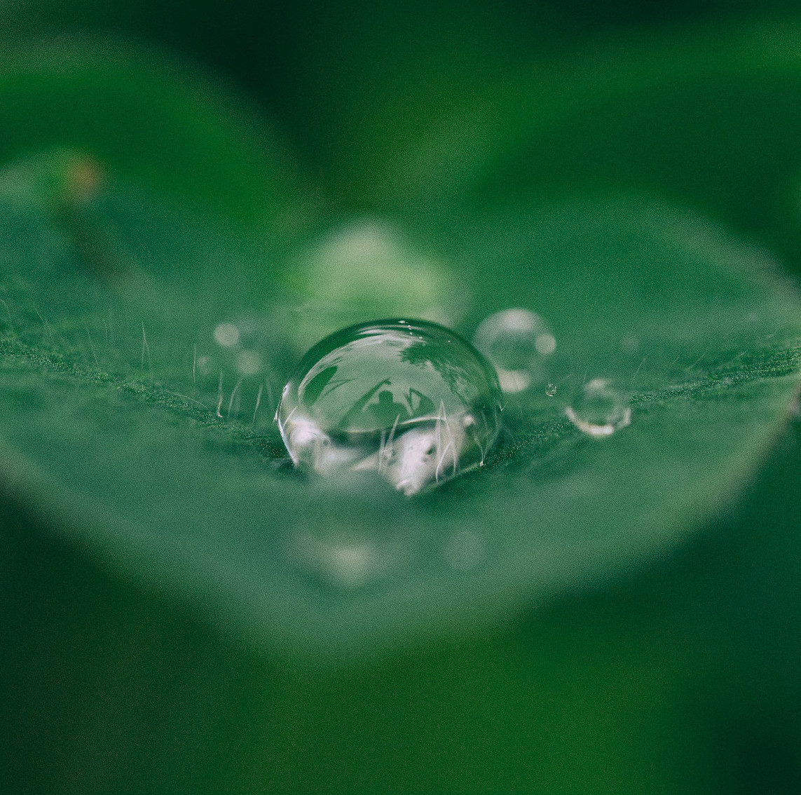 A végtelennek hitt víz véges