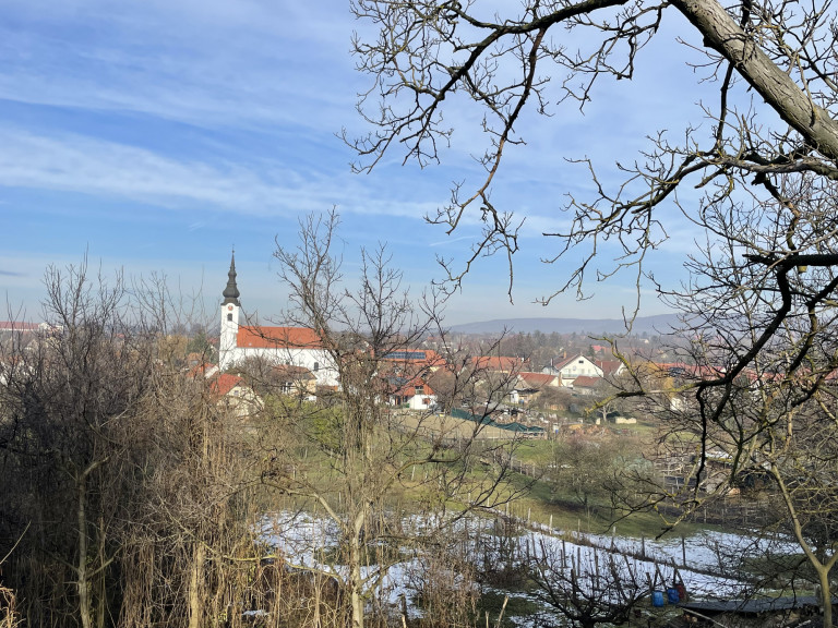 Téli varázsvilágra leltünk a Pátyi Pincehegyen – a főváros tövében kirándultunk